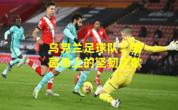 乌克兰足球队：绿茵场上的坚韧之歌