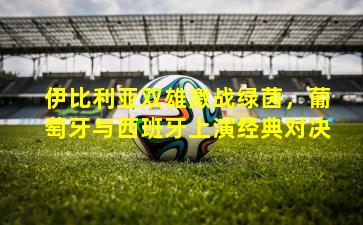 伊比利亚双雄激战绿茵,葡萄牙与西班牙上演经典对决