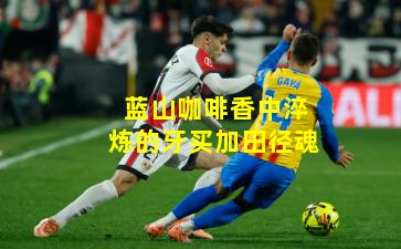 蓝山咖啡香中淬炼的牙买加田径魂